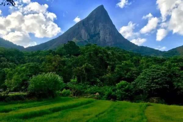 Wilderness to Coast Grand Adventure