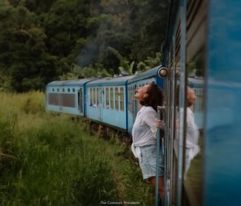 The+Common+Wanderer-9341-2