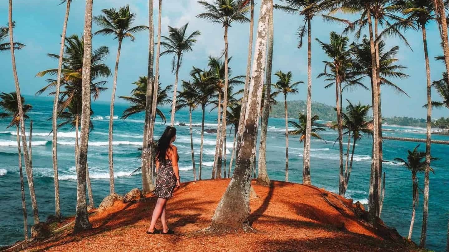 Coastal Paradise - South Coast