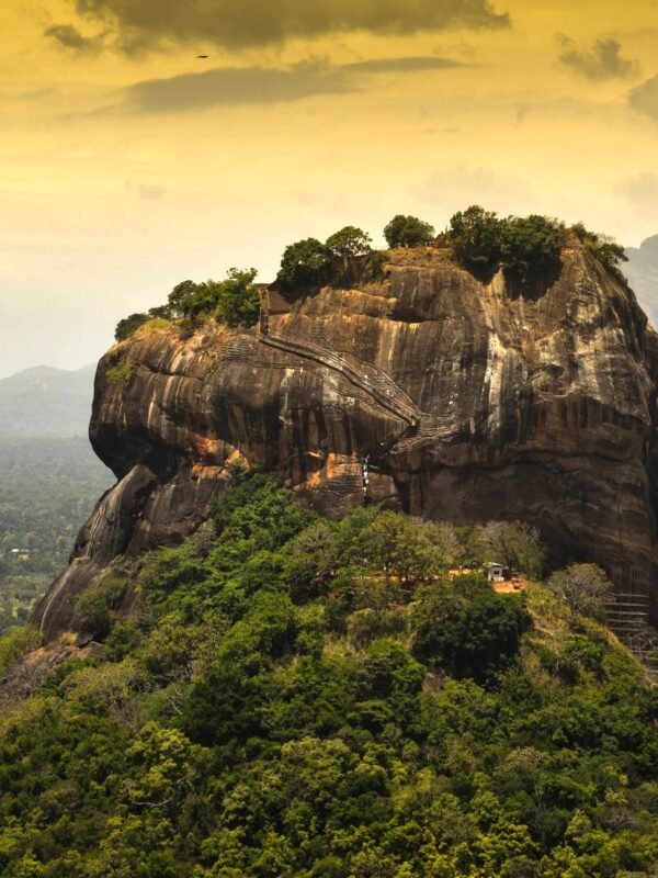 Ultimate Sri Lankan Discovery