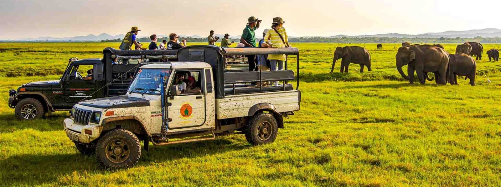 Wilpattu National Park