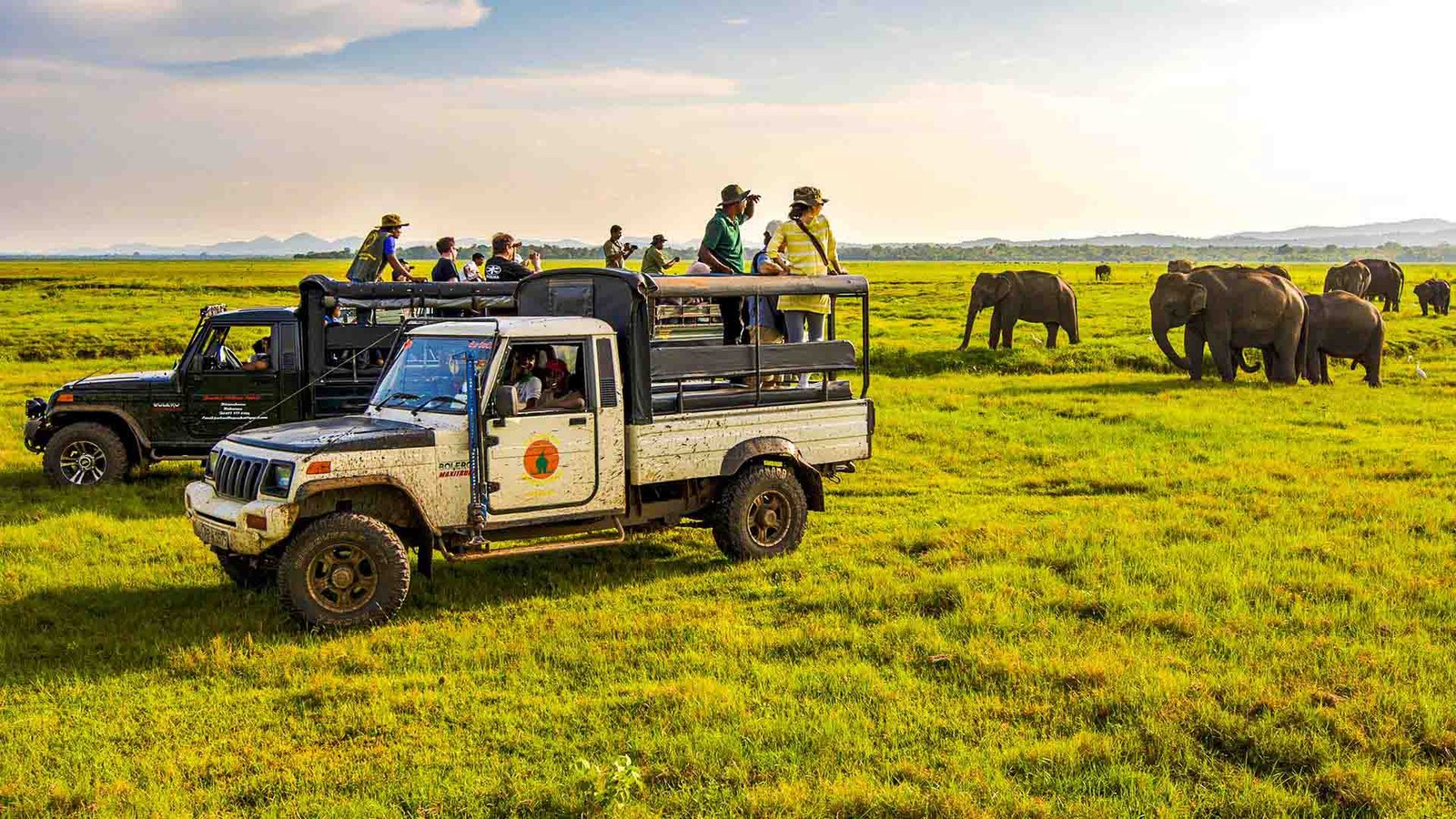 Wilpattu National Park