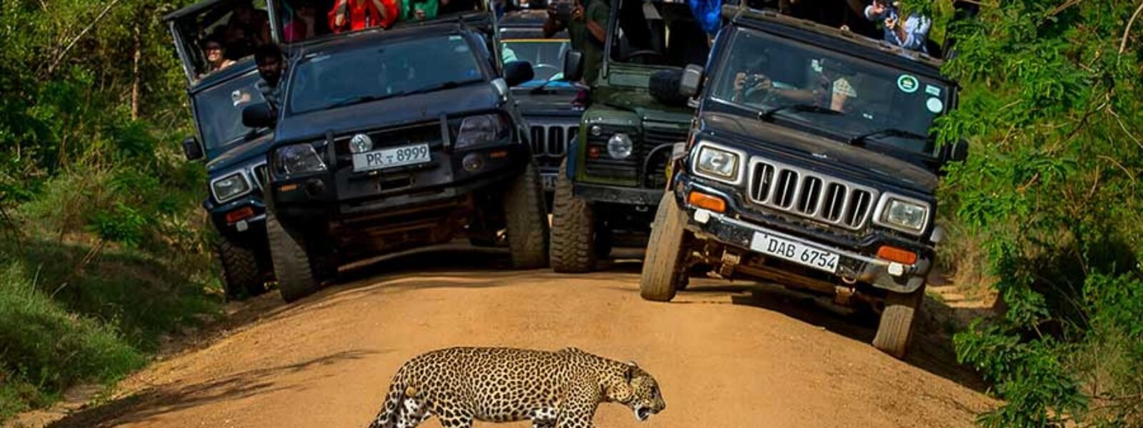 Wildlife & Nature Parks