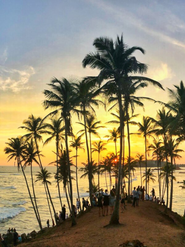 Ceylon Beaches & Highlands Escape