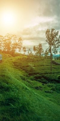 1_x-NJGsBGitBzR-KlEyX3xQ