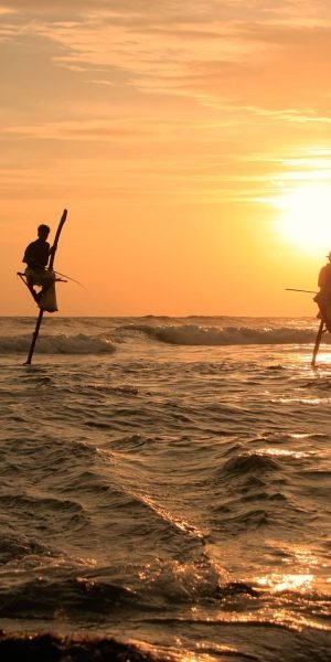 Dollarphotoclub_71347262-2-scaled