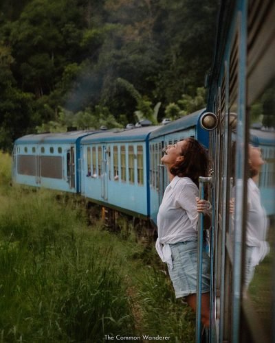 The+Common+Wanderer-9341-2